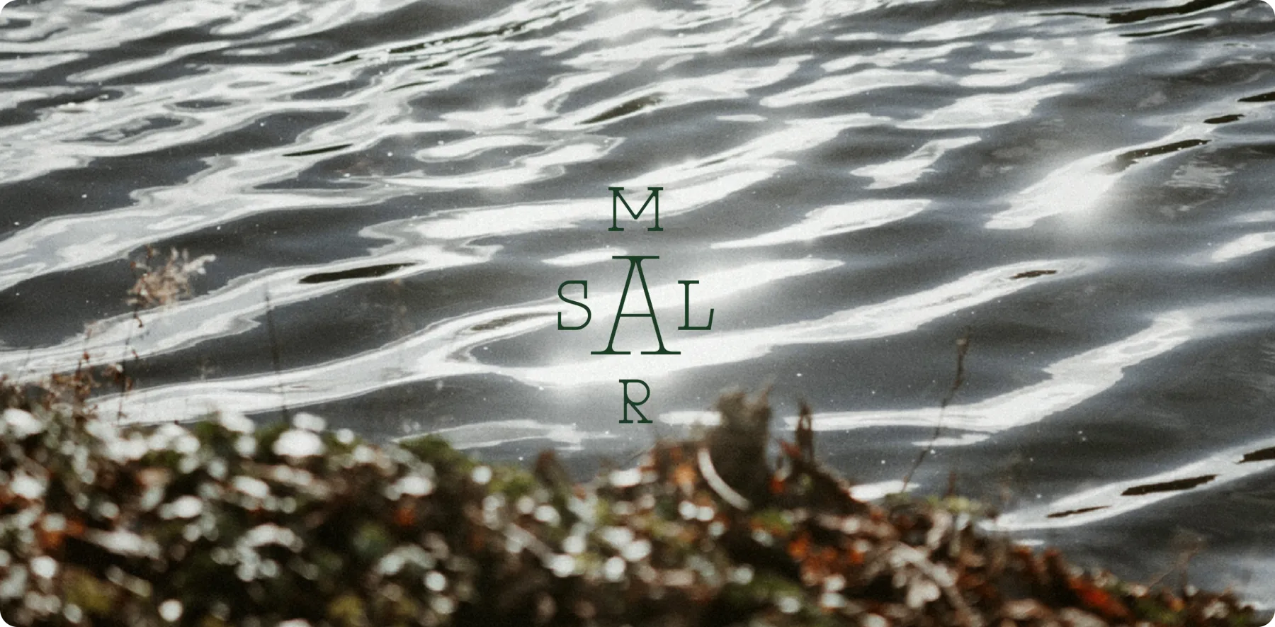 Wordmark Mar de Sal sobre el agua